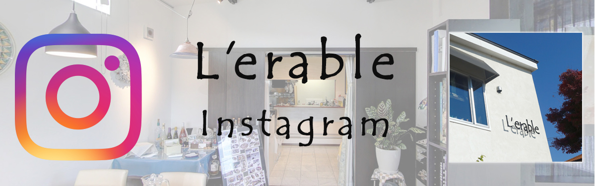 lerable_instagram